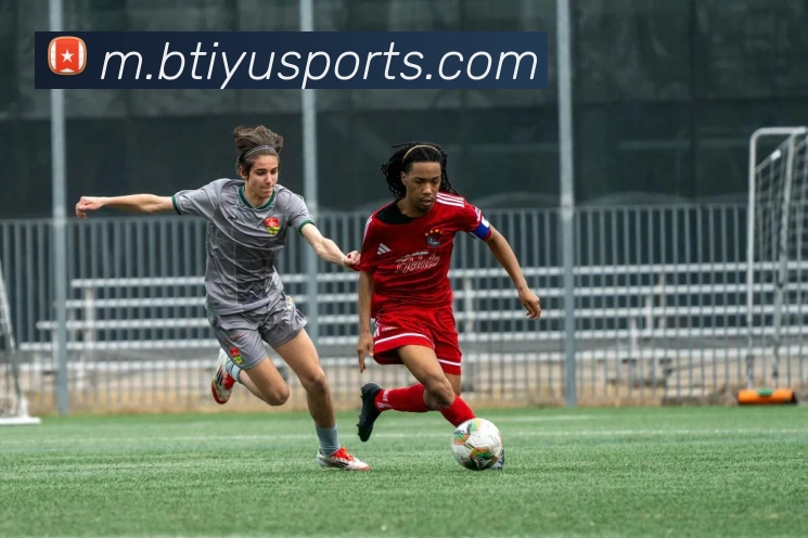 b体育平台生态图